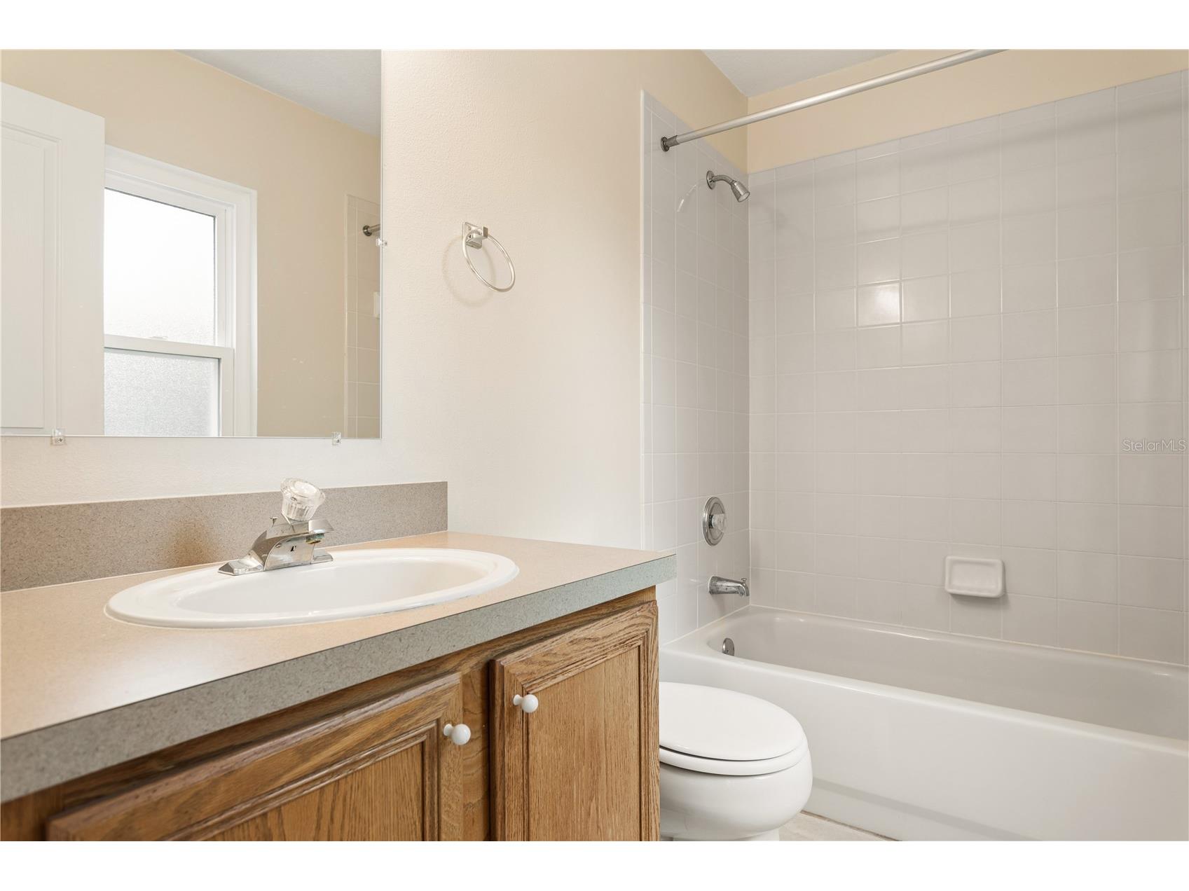 10113 Tantara Court Riverview FL 33578 TB8509744 image20