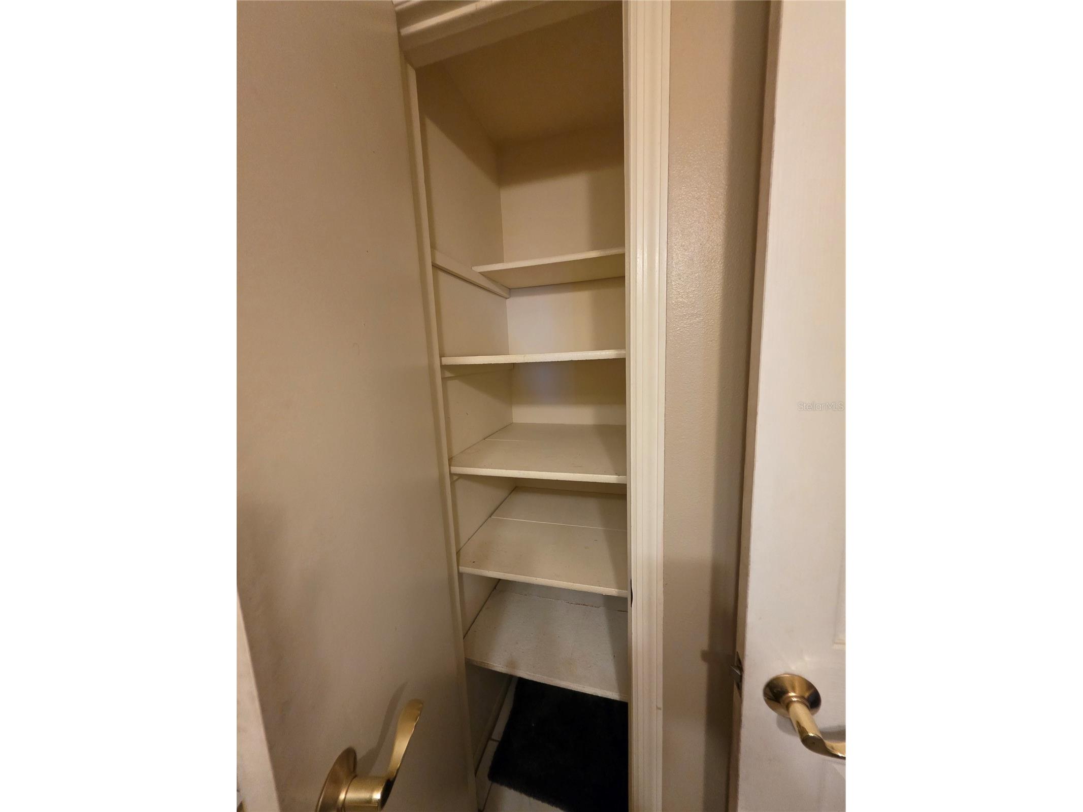 10113 Timber Oaks Court Tampa FL 33615 TB8505496 image11