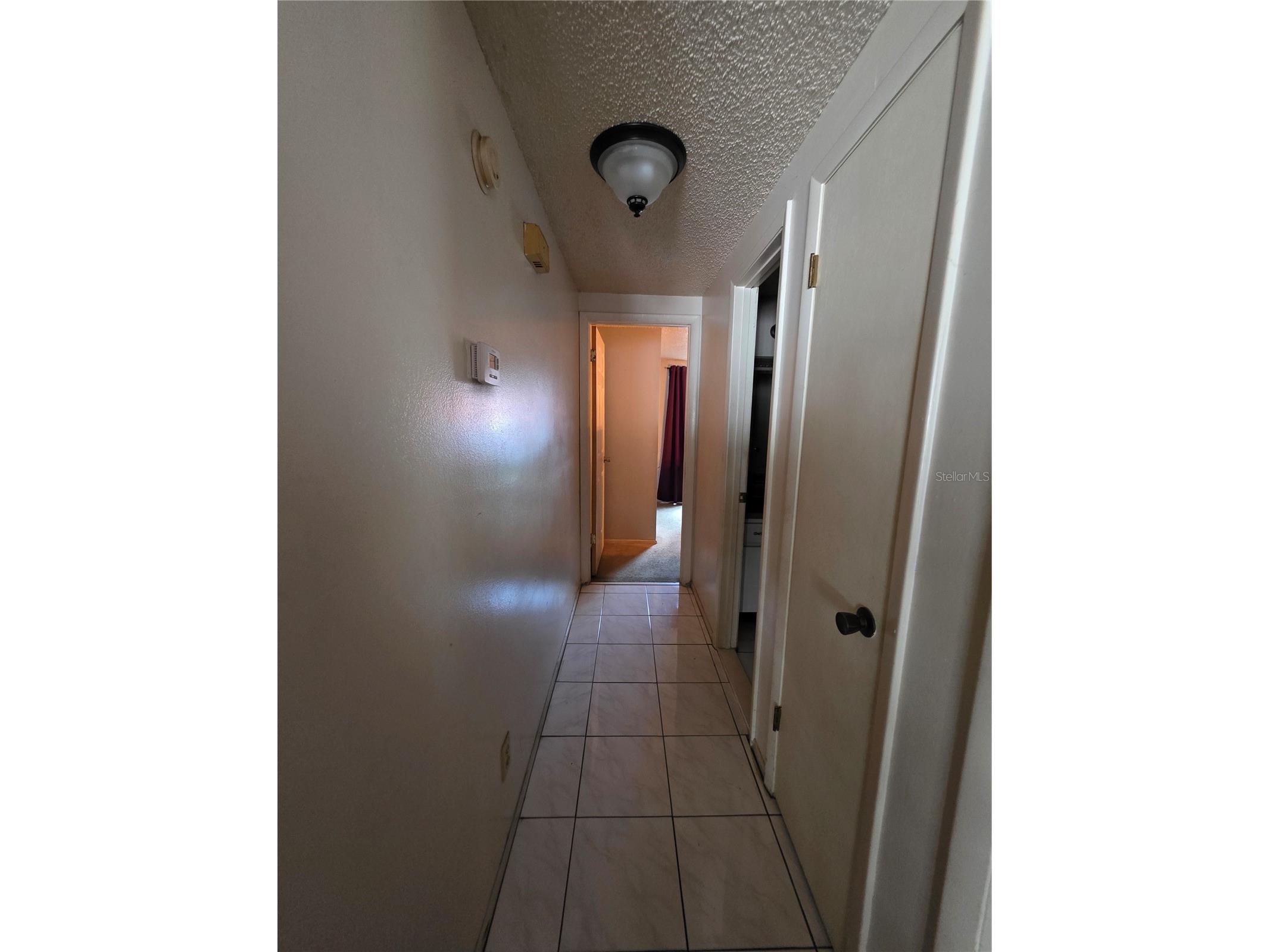 10113 Timber Oaks Court Tampa FL 33615 TB8505496 image12