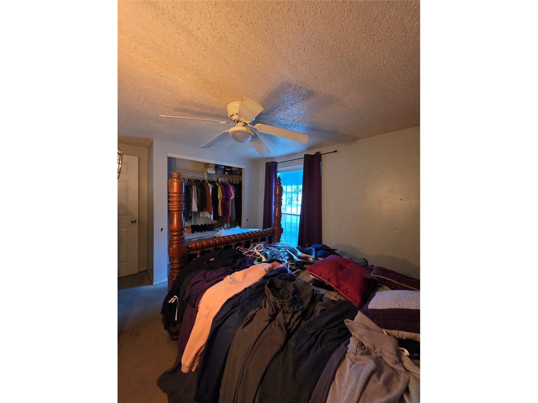 10113 Timber Oaks Court Tampa FL 33615 TB8505496 image6