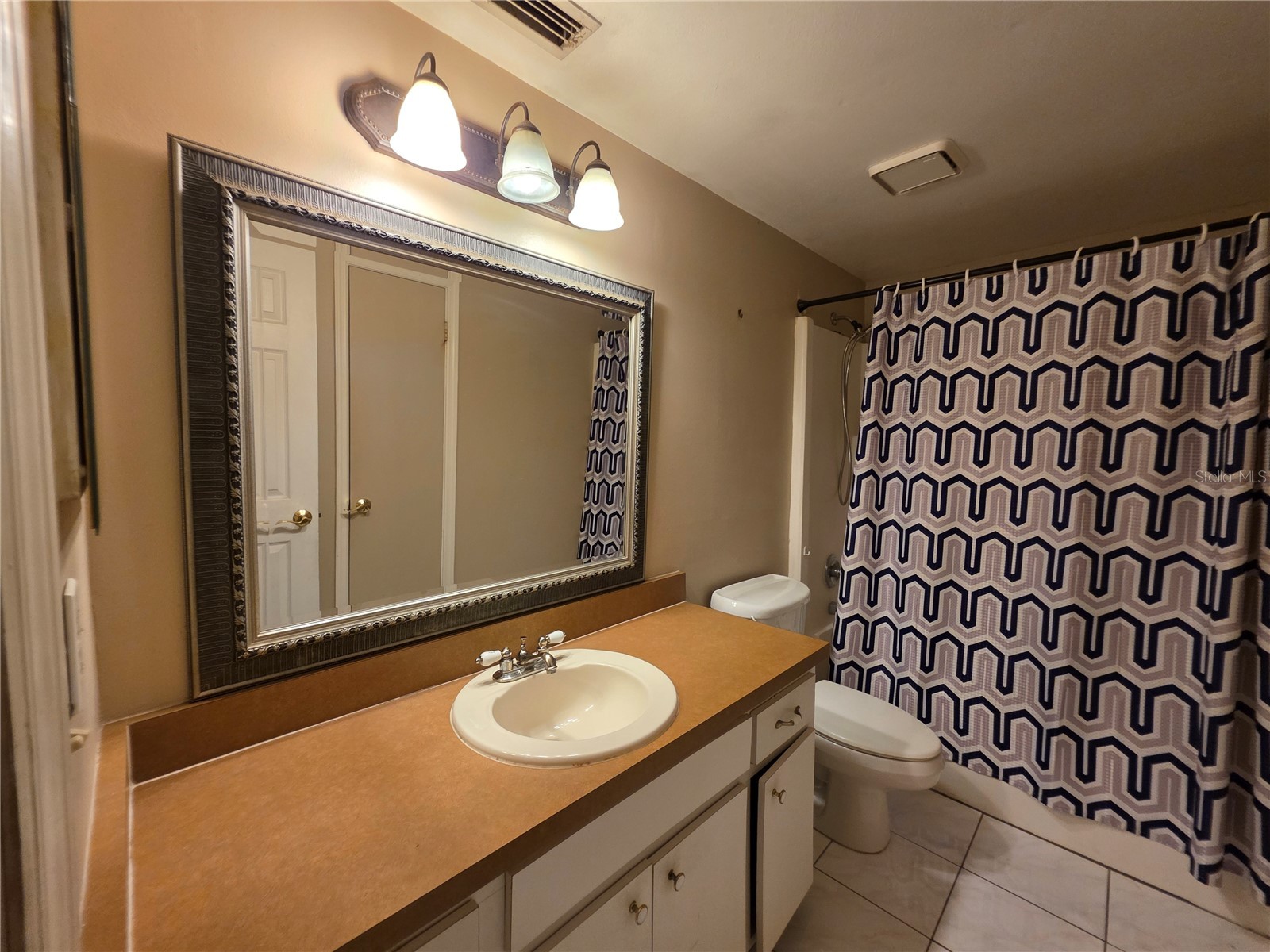 10113 Timber Oaks Court Tampa FL 33615 TB8505496 image8