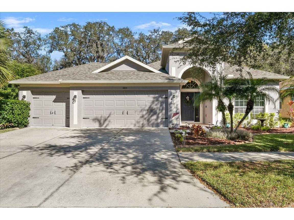 10114 Caraway Spice Avenue Riverview FL 33578 U8230285 image1
