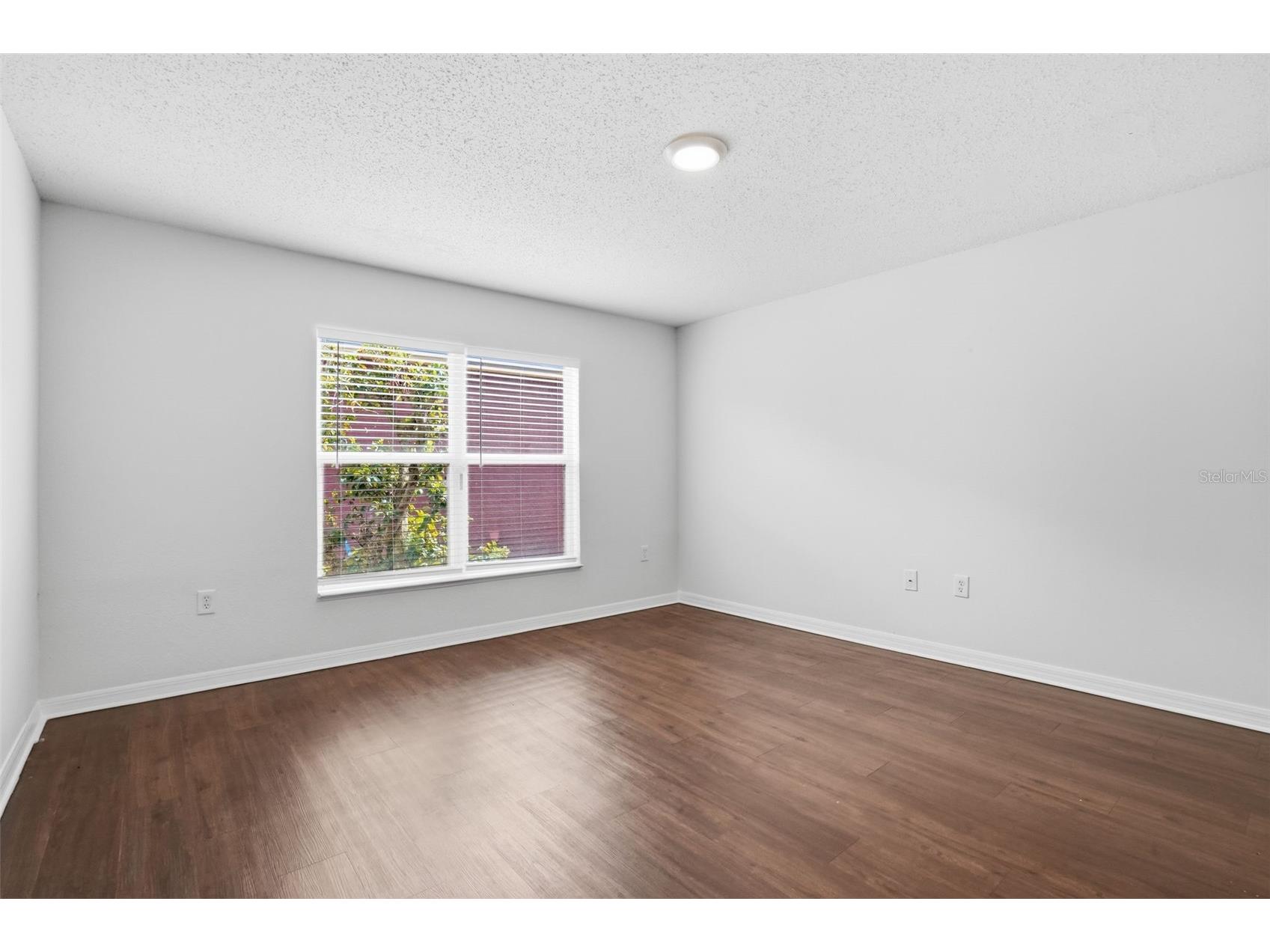 10114 Maronda Drive Riverview FL 33578 O6386420 image19