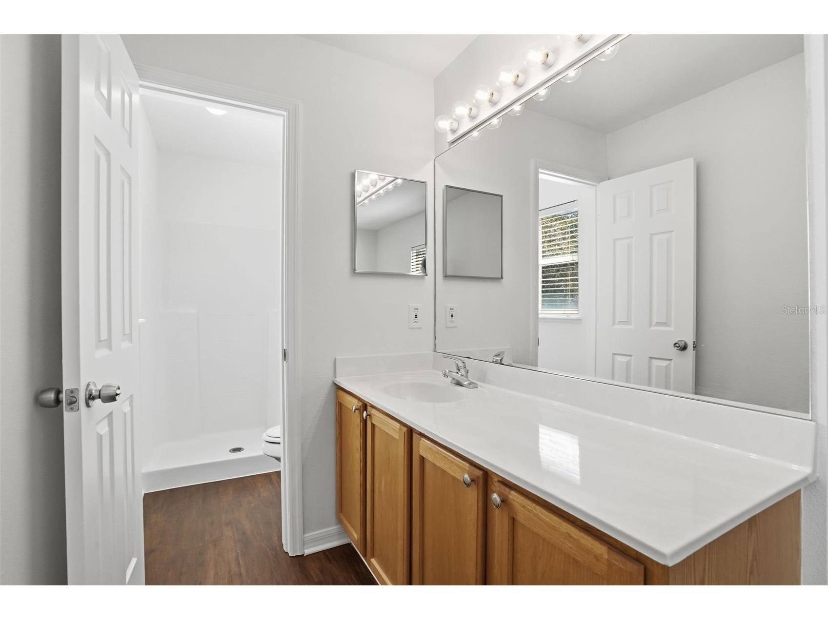 10114 Maronda Drive Riverview FL 33578 O6386420 image25
