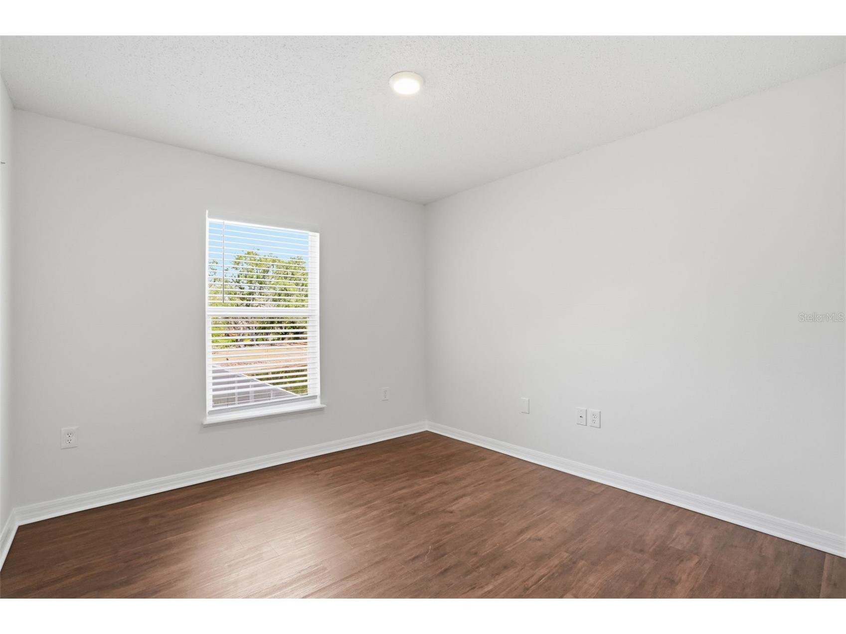 10114 Maronda Drive Riverview FL 33578 O6386420 image28