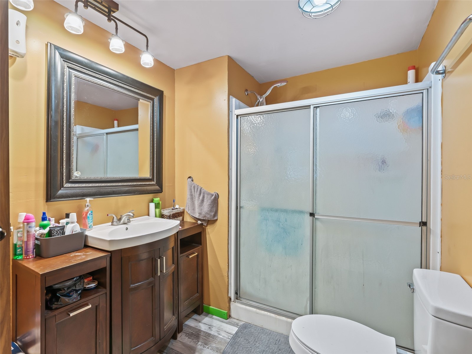 10114 Se 24th St Webster FL 33597 G5111397 image17
