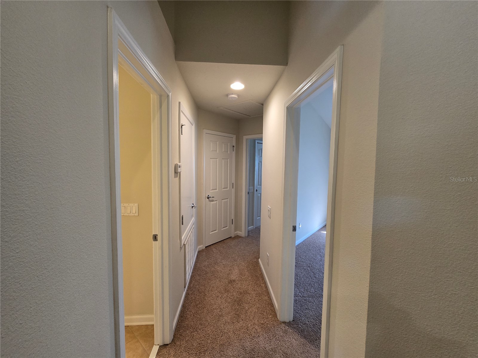 10114 Westpark Preserve Boulevard Tampa FL 33625 O6382609 image20