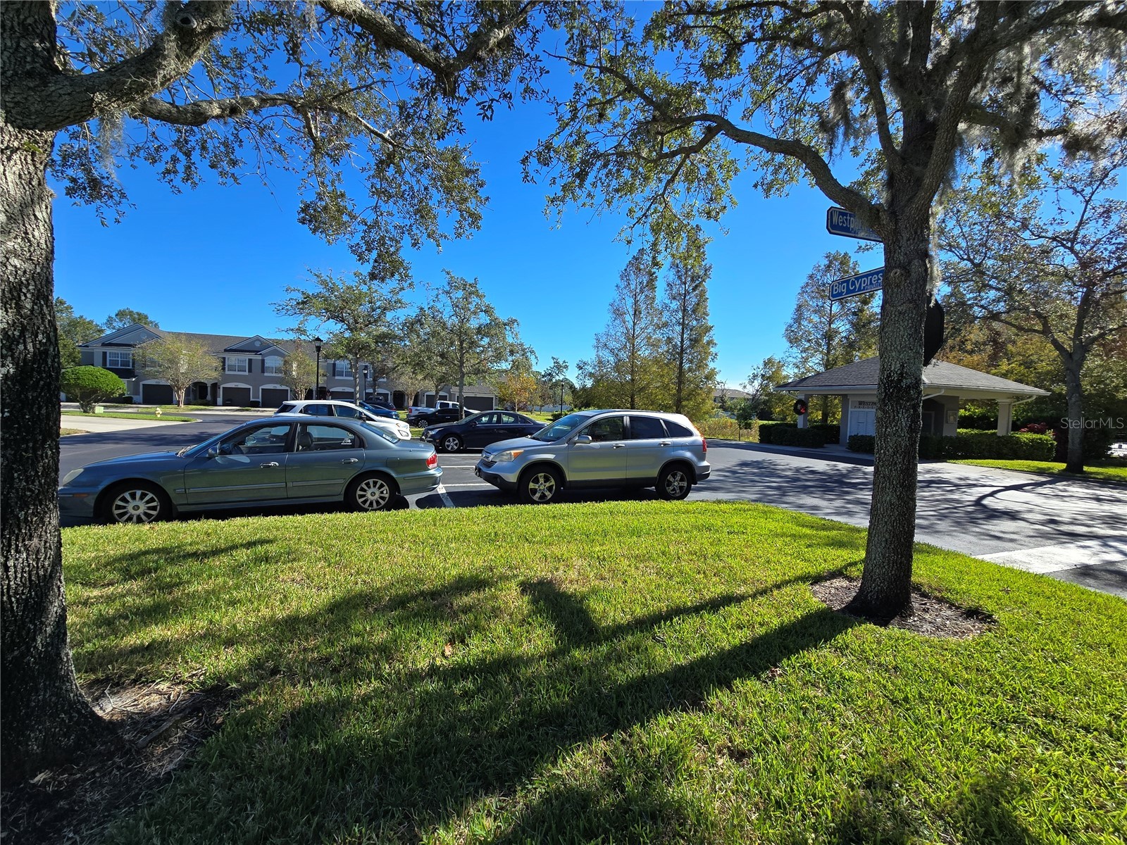 10114 Westpark Preserve Boulevard Tampa FL 33625 O6382609 image44