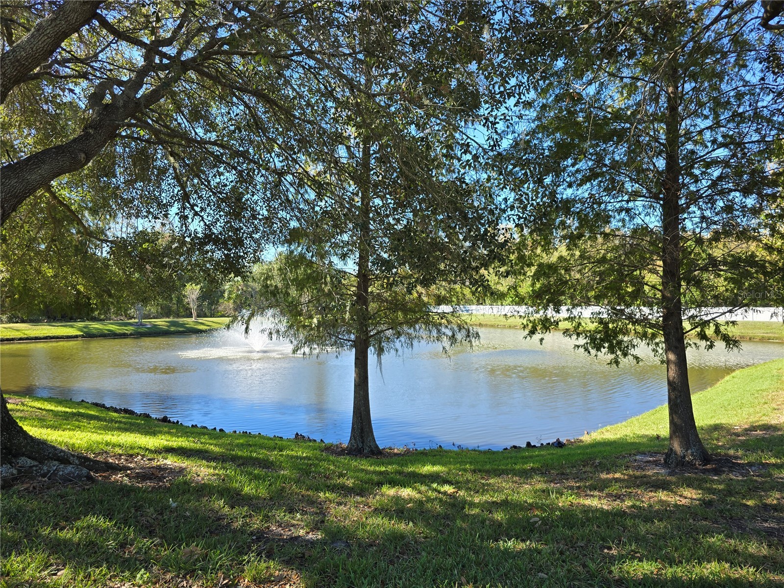 10114 Westpark Preserve Boulevard Tampa FL 33625 O6382609 image46