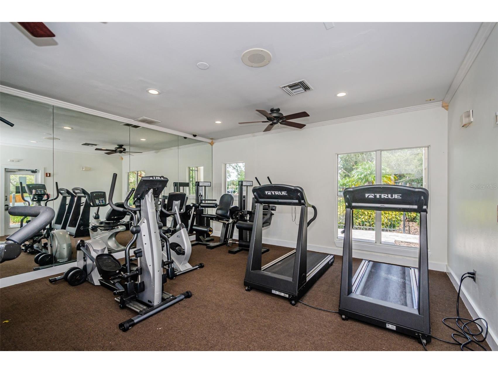 10114 Winsford Oak Boulevard #501 Tampa FL 33624 TB8474598 image26