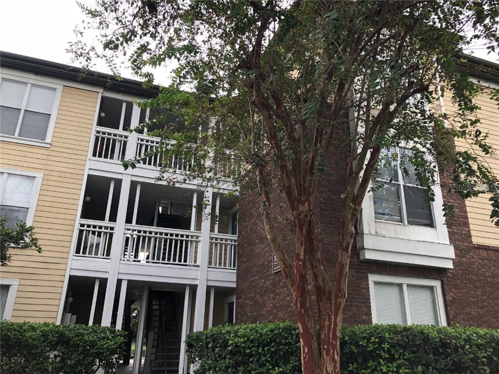 10114 Winsford Oak Boulevard #517 Tampa FL 33624 TB8368814 image1