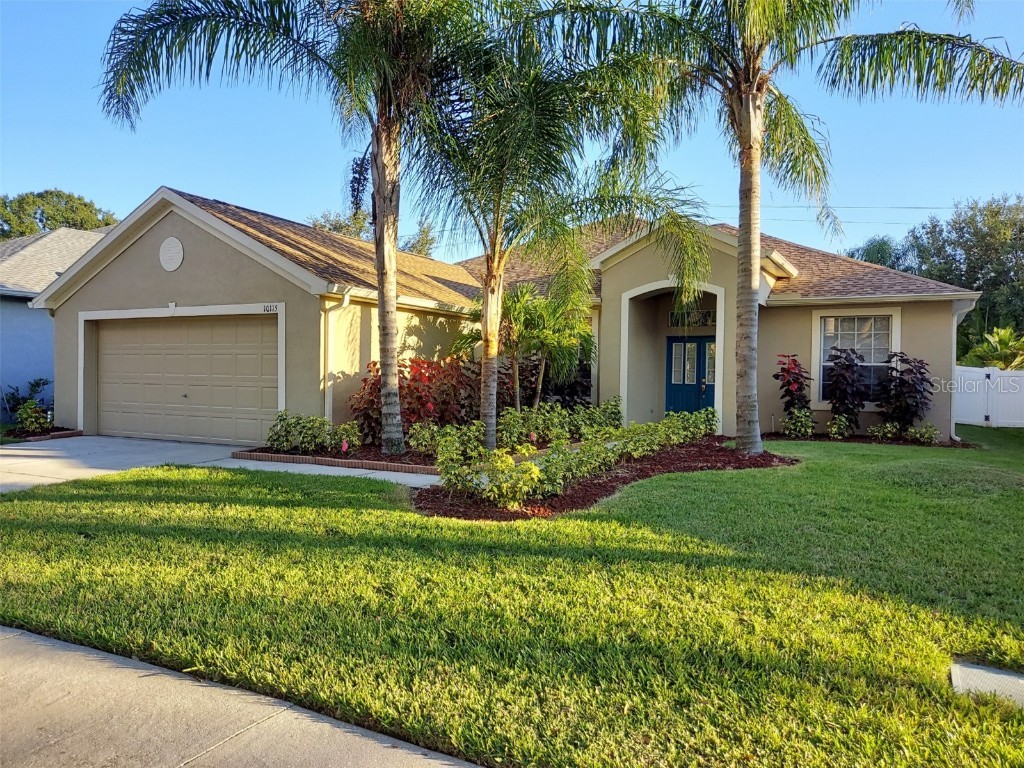 10115 Cannon Drive Riverview FL 33578 T3335657 image1