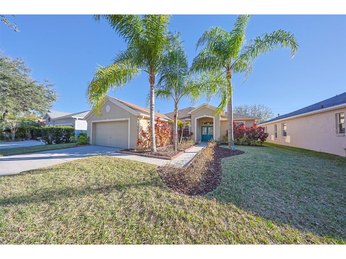 10115 Cannon Drive Riverview FL 33578 T3501679 image1