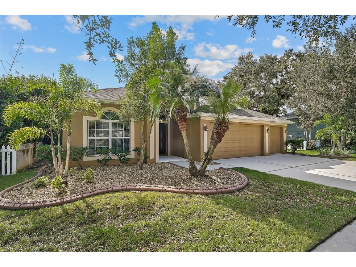 10115 Caraway Spice Avenue Riverview FL 33578 N6142004 image4