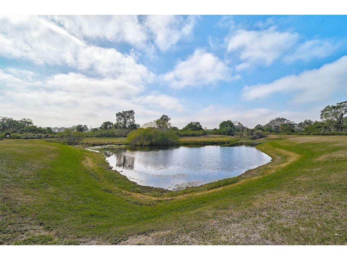 10115 Caraway Spice Avenue Riverview FL 33578 N6142004 image41