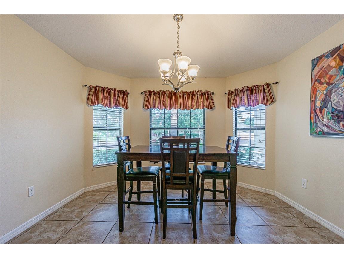 10115 Count Fleet Dr Ruskin FL 33573 TB8417075 image19