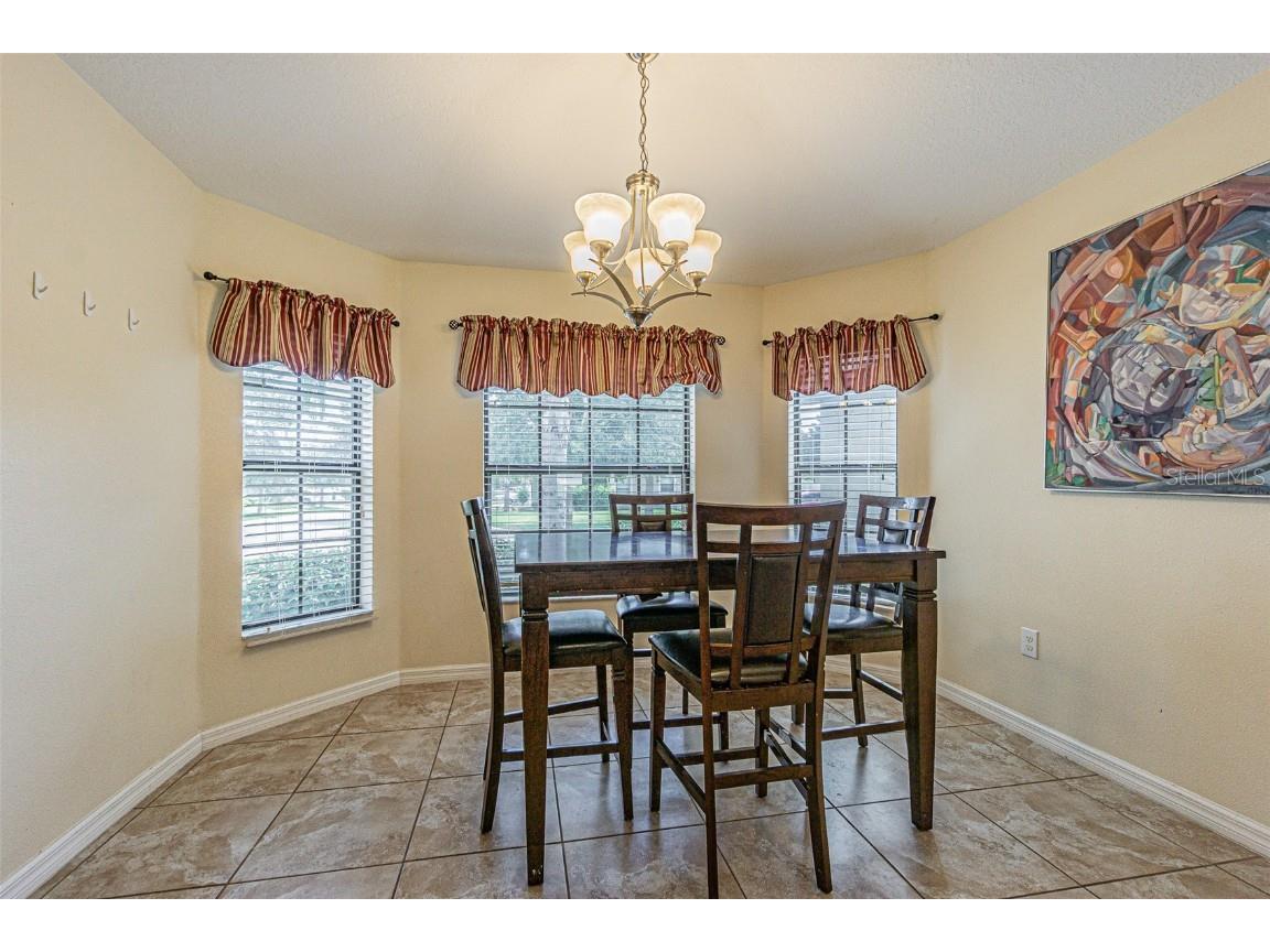 10115 Count Fleet Dr Ruskin FL 33573 TB8417075 image21