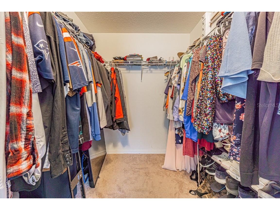 10115 Count Fleet Dr Ruskin FL 33573 TB8417075 image46