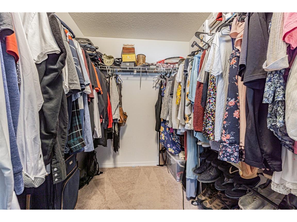 10115 Count Fleet Dr Ruskin FL 33573 TB8417075 image47