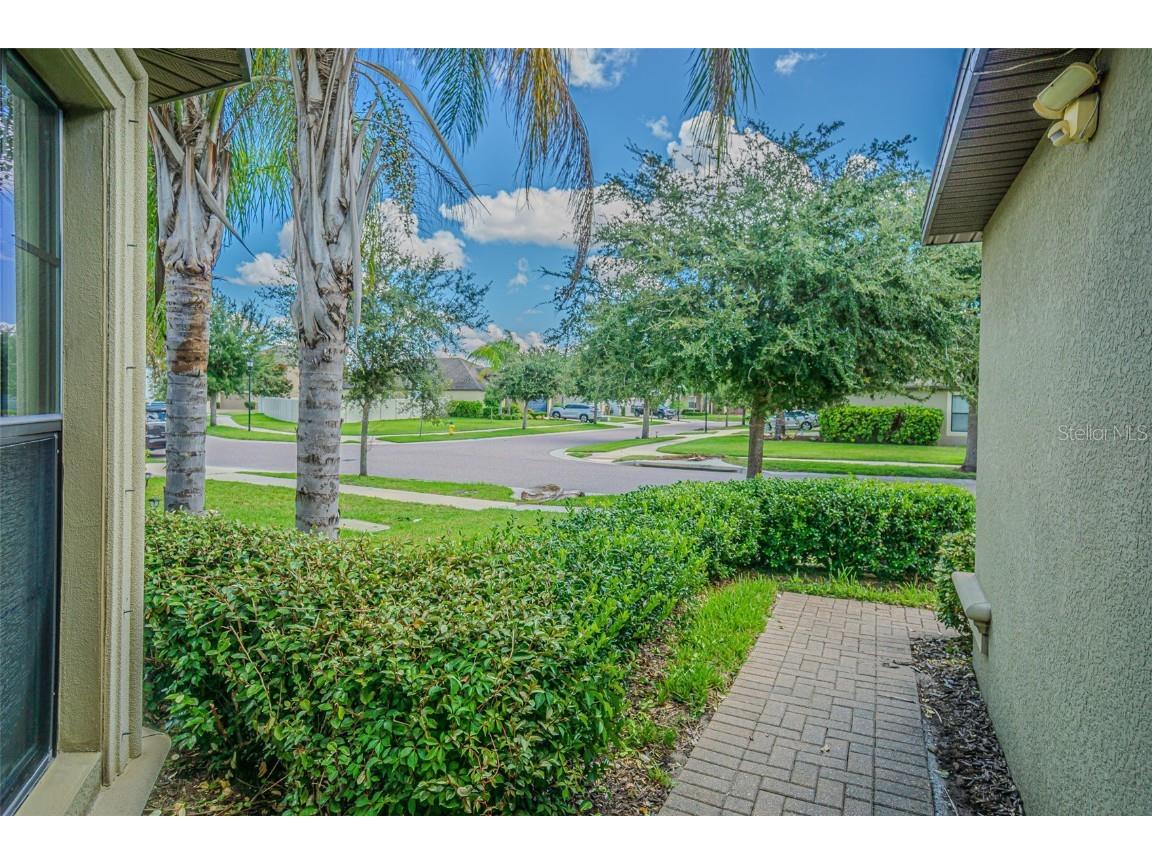 10115 Count Fleet Dr Ruskin FL 33573 TB8417075 image5