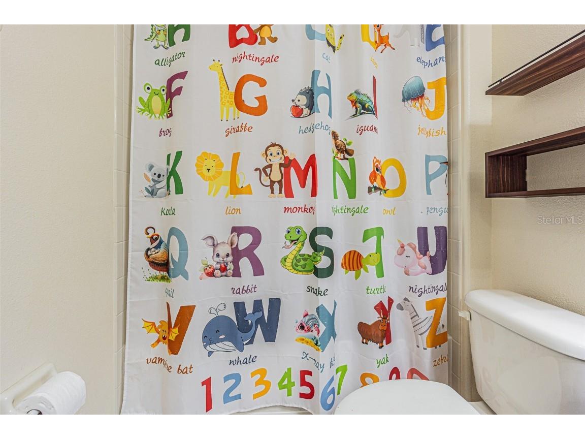 10115 Count Fleet Dr Ruskin FL 33573 TB8417075 image56