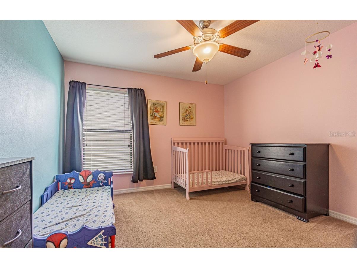 10115 Count Fleet Dr Ruskin FL 33573 TB8417075 image58