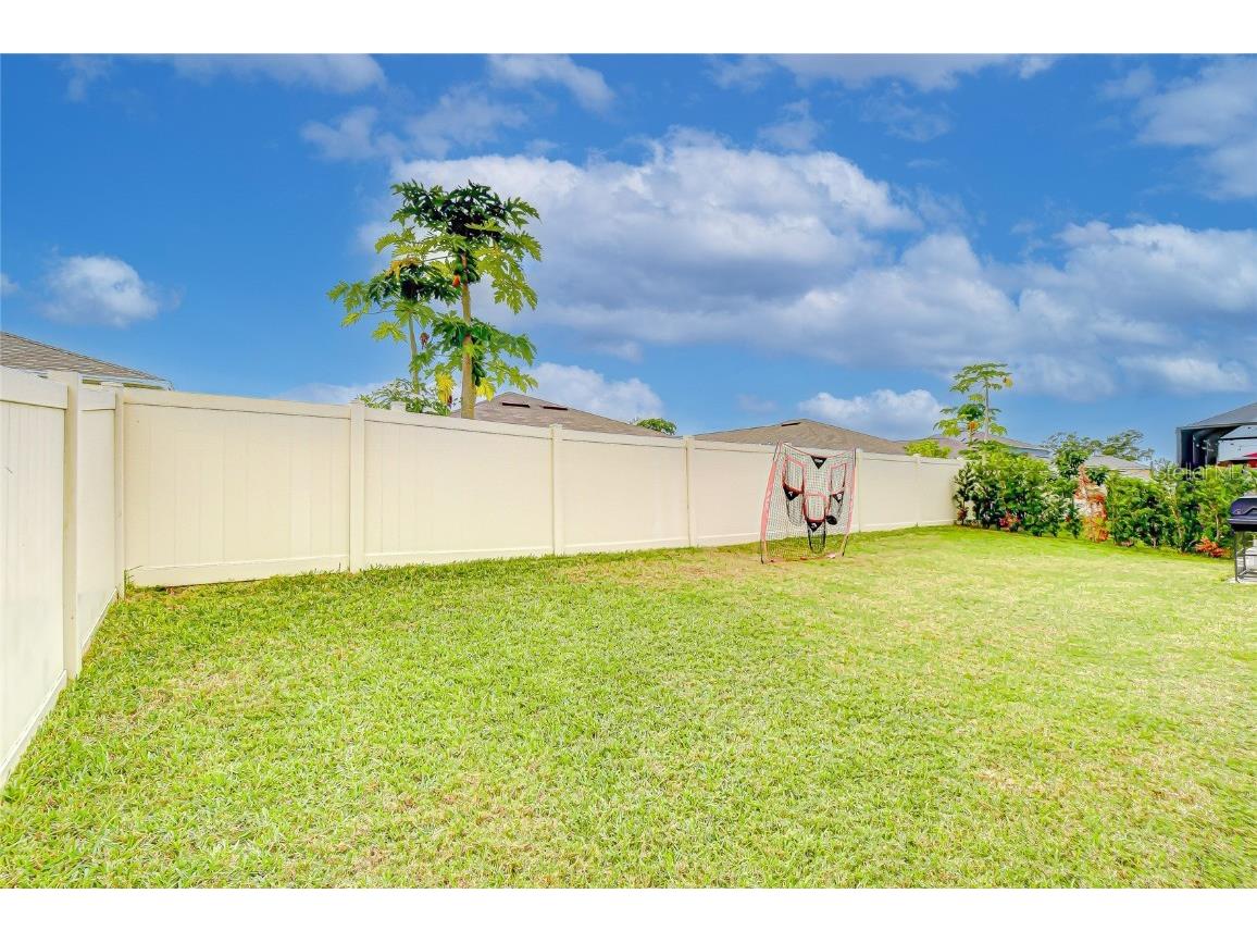 10115 Paradise Fish Drive Riverview FL 33578 TB8445751 image23