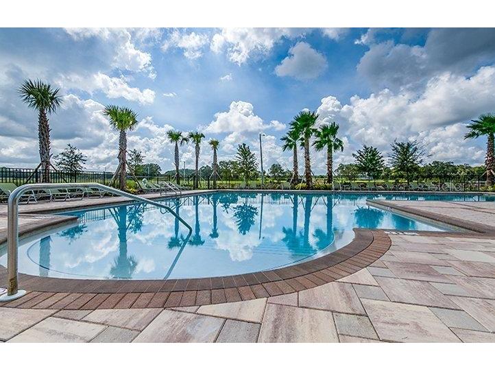 10115 Paradise Fish Drive Riverview FL 33578 TB8445751 image26