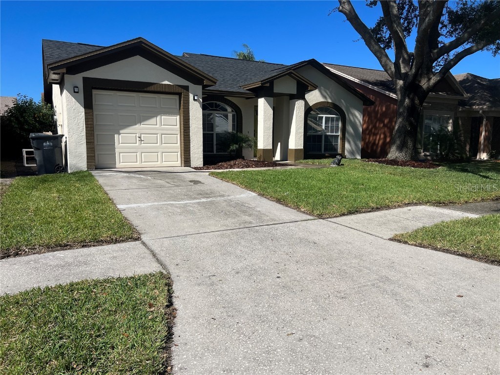 10116 Cedar Dune Drive Tampa FL 33624 T3486985 image1