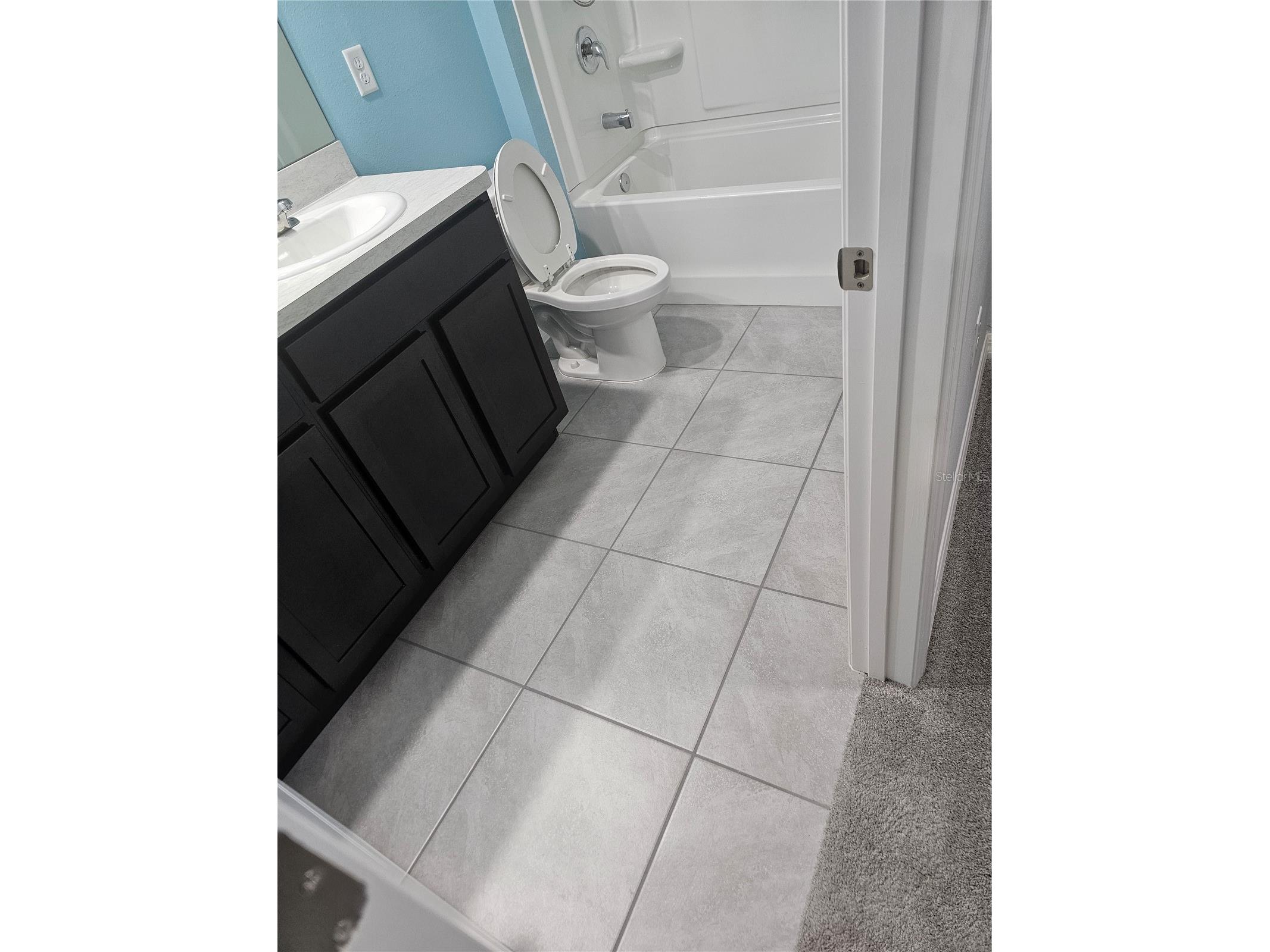 10116 Charlotte Drive Parrish FL 34219 A4696305 image16