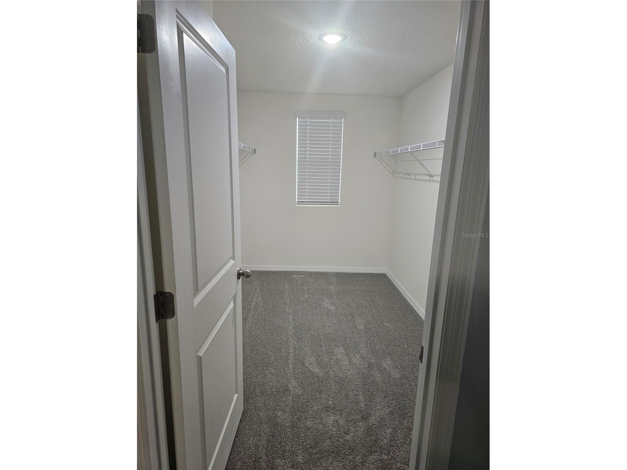 10116 Charlotte Drive Parrish FL 34219 A4696305 image30