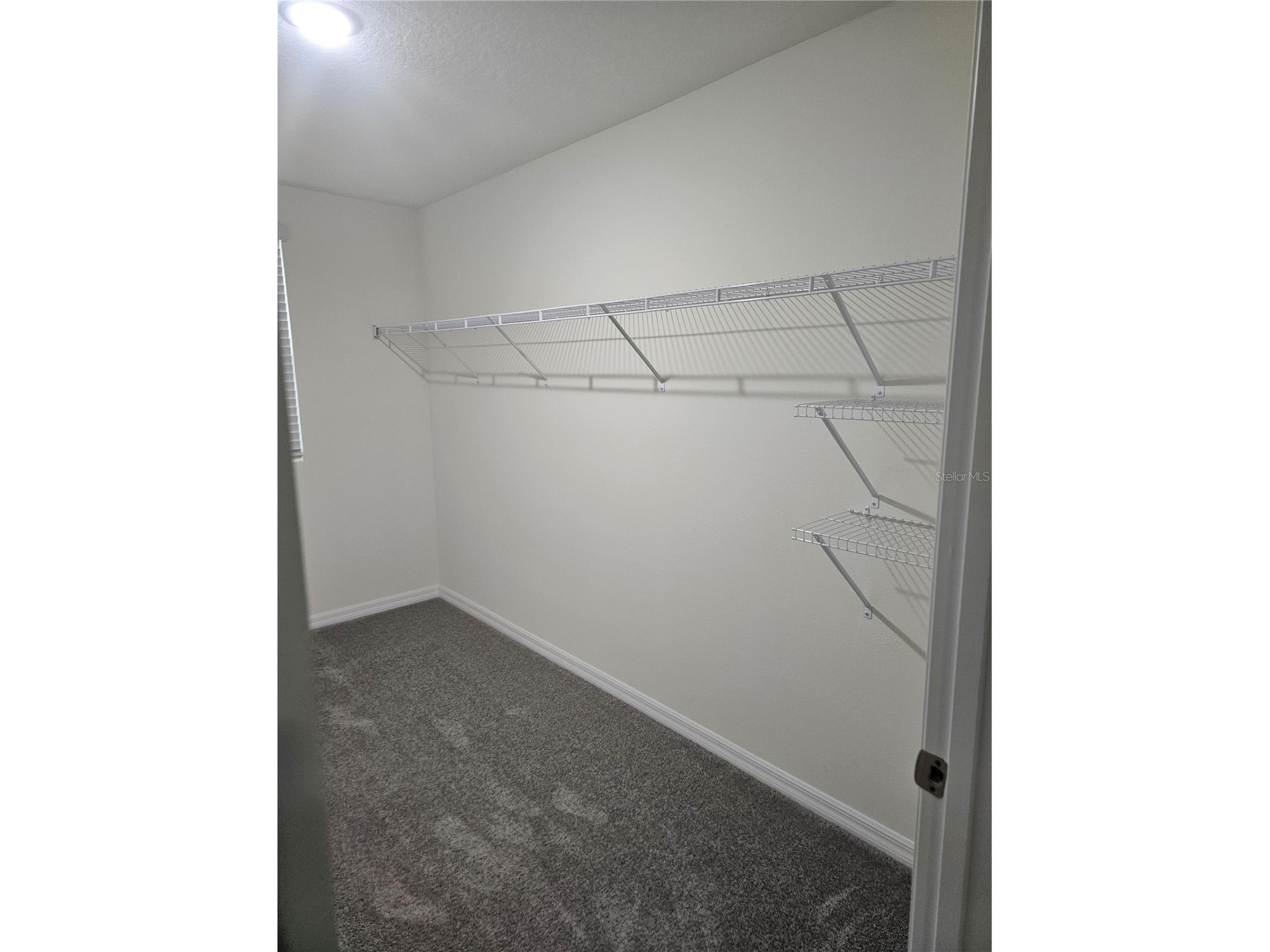 10116 Charlotte Drive Parrish FL 34219 A4696305 image31