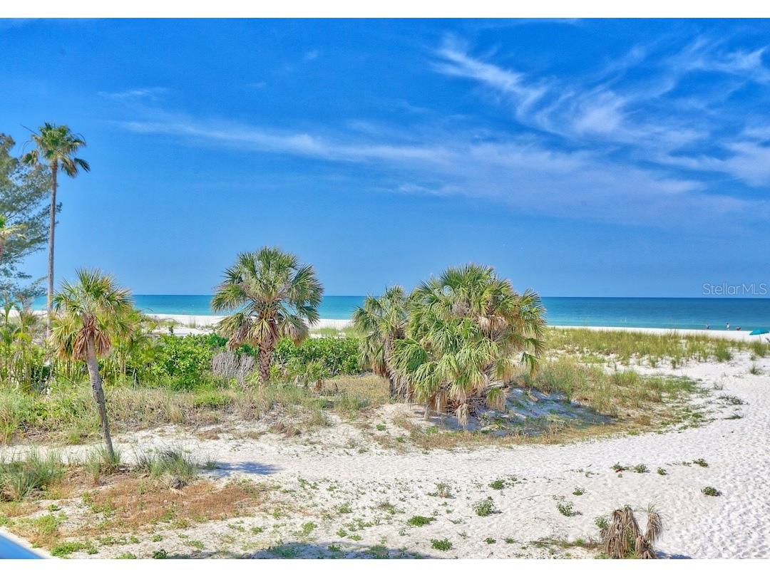 10116 Gulf Boulevard #203W Treasure Island FL 33706 TB8485337 image39