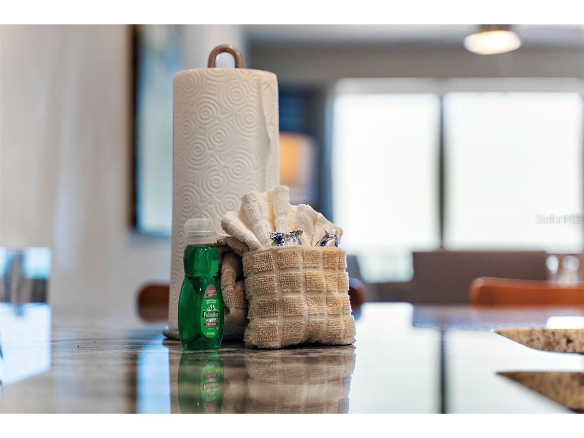 10116 Gulf Boulevard #403W Treasure Island FL 33706 U8254803 image10