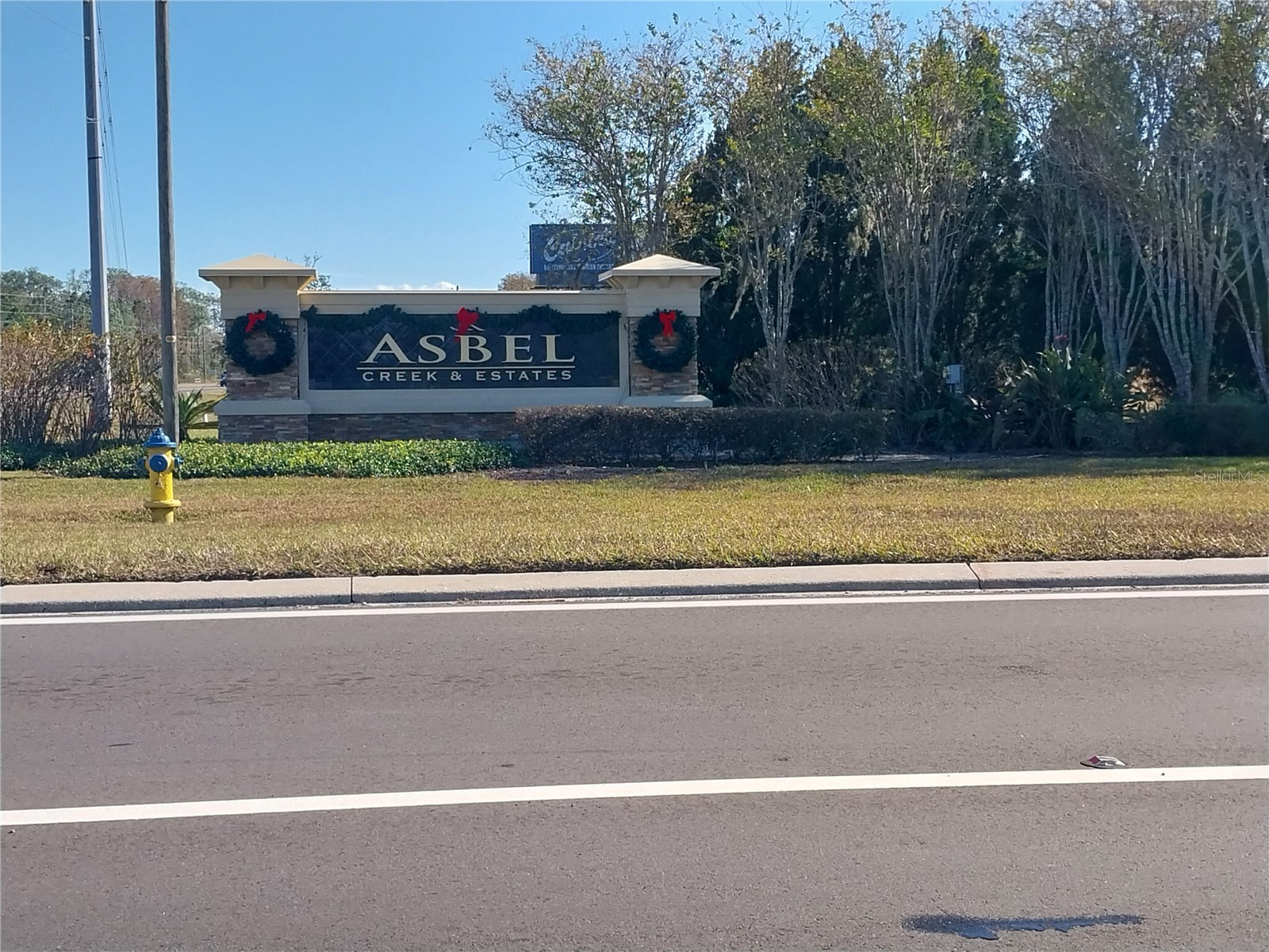10116 Perthshire Circle Land O Lakes FL 34638 TB8514202 image1