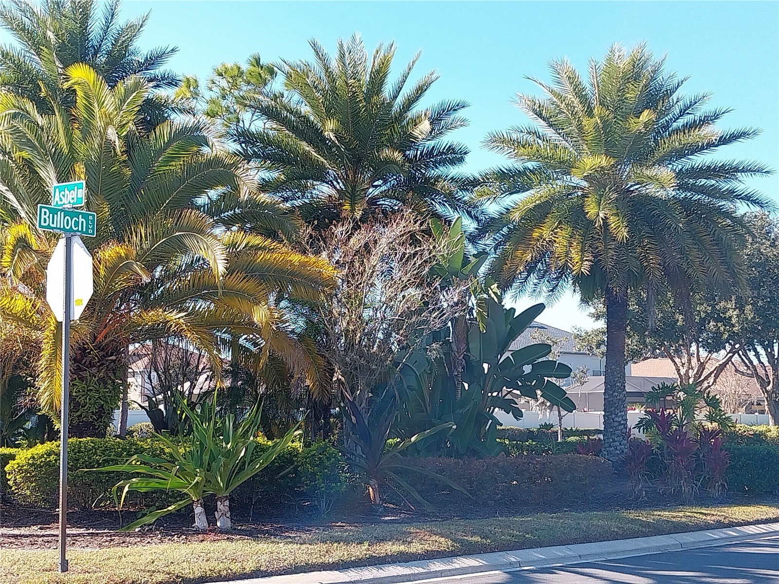 10116 Perthshire Circle Land O Lakes FL 34638 TB8514202 image2