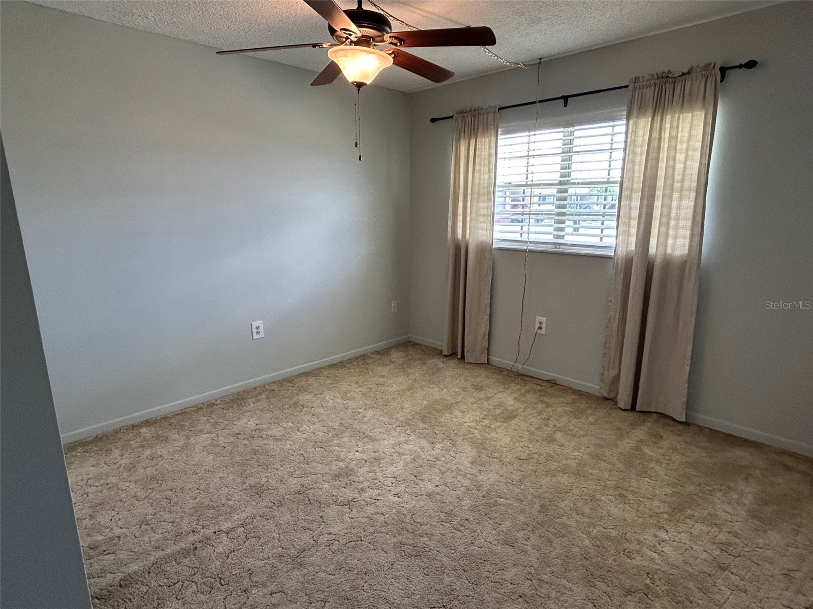 10116 Tulip Street N Pinellas Park FL 33782 TB8398907 image9