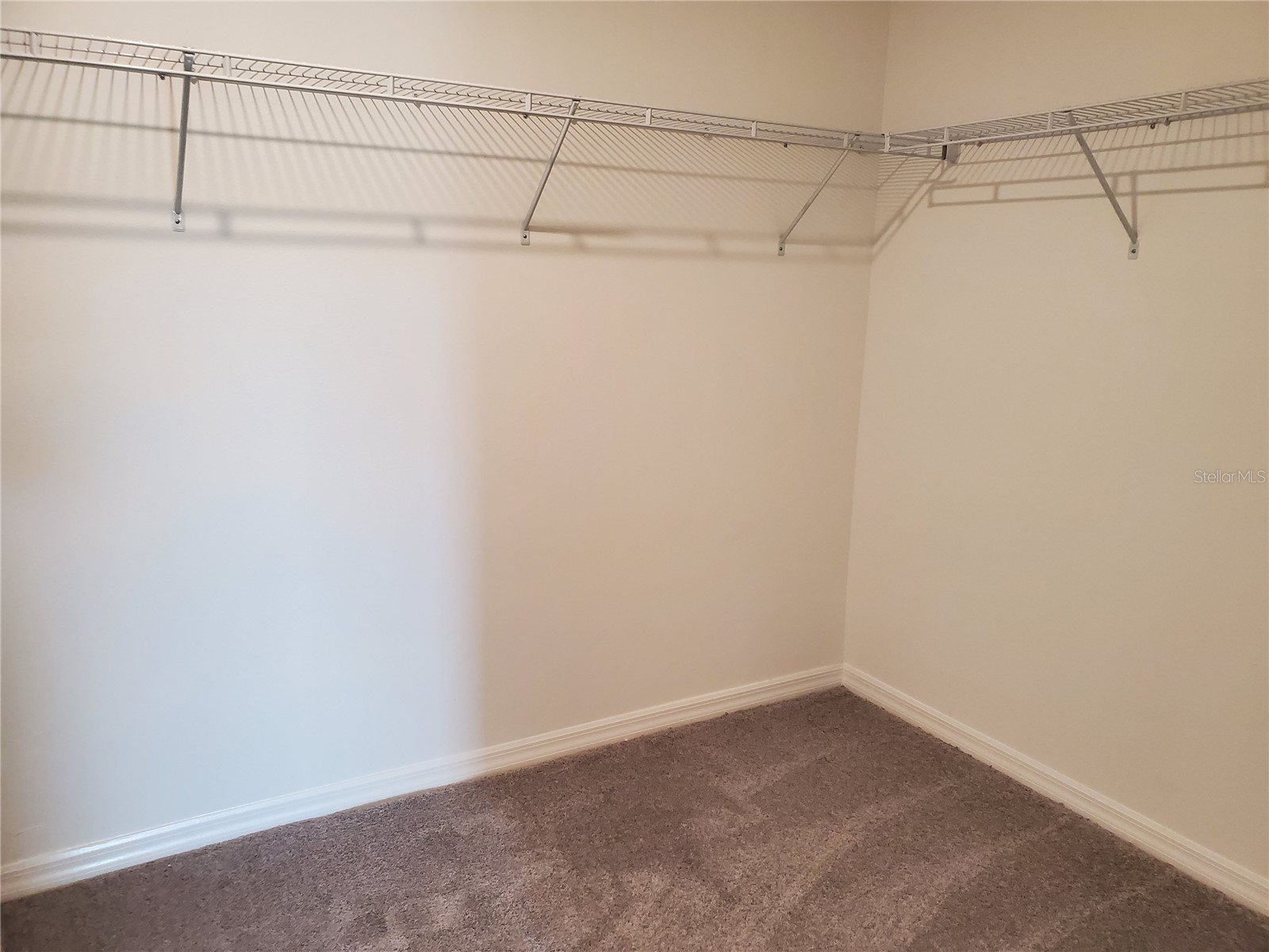 10117 Berryessa Avenue Riverview FL 33569 TB8527906 image20