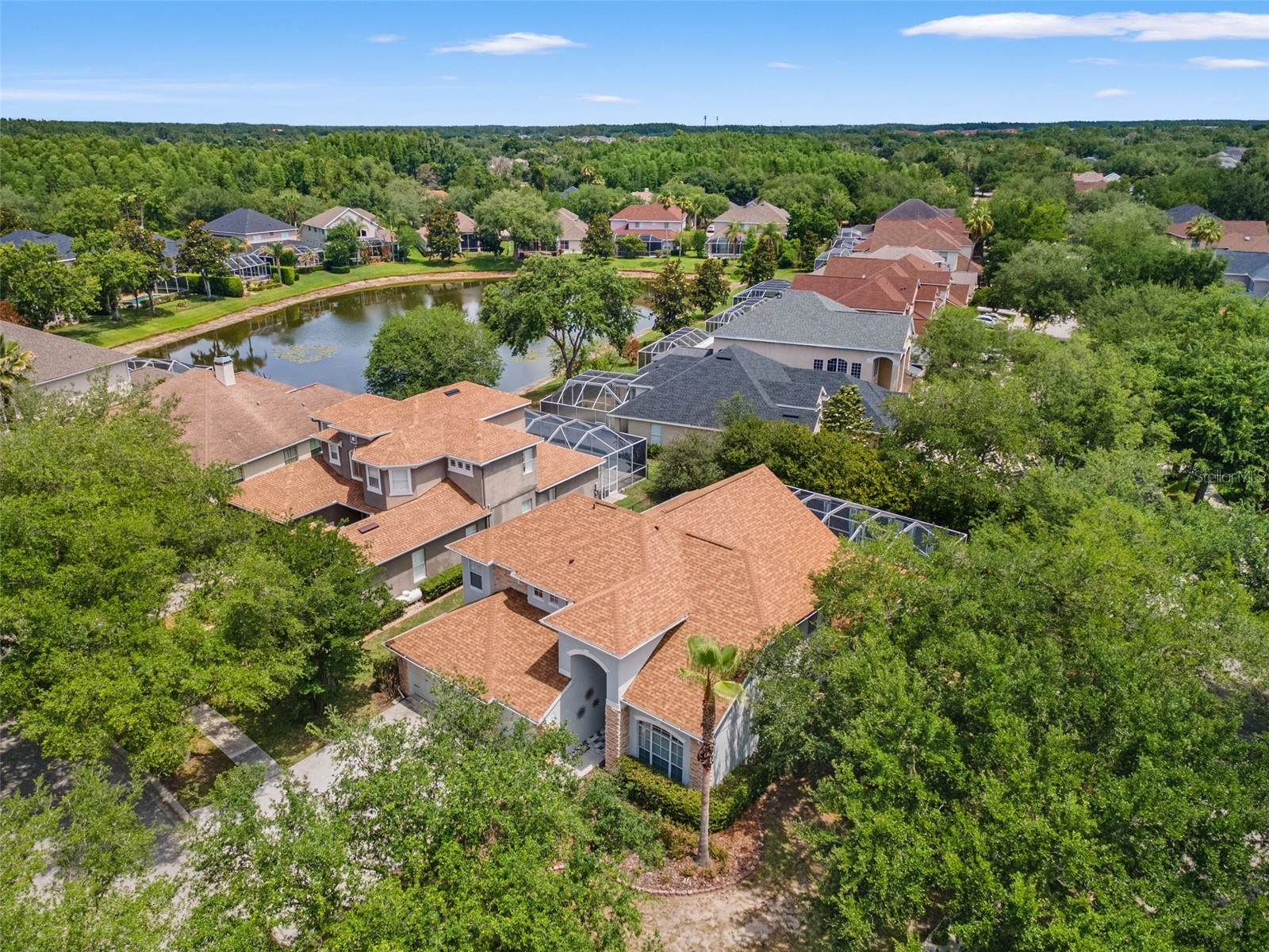 10117 Deercliff Drive Tampa FL 33647 TB8511374 image53