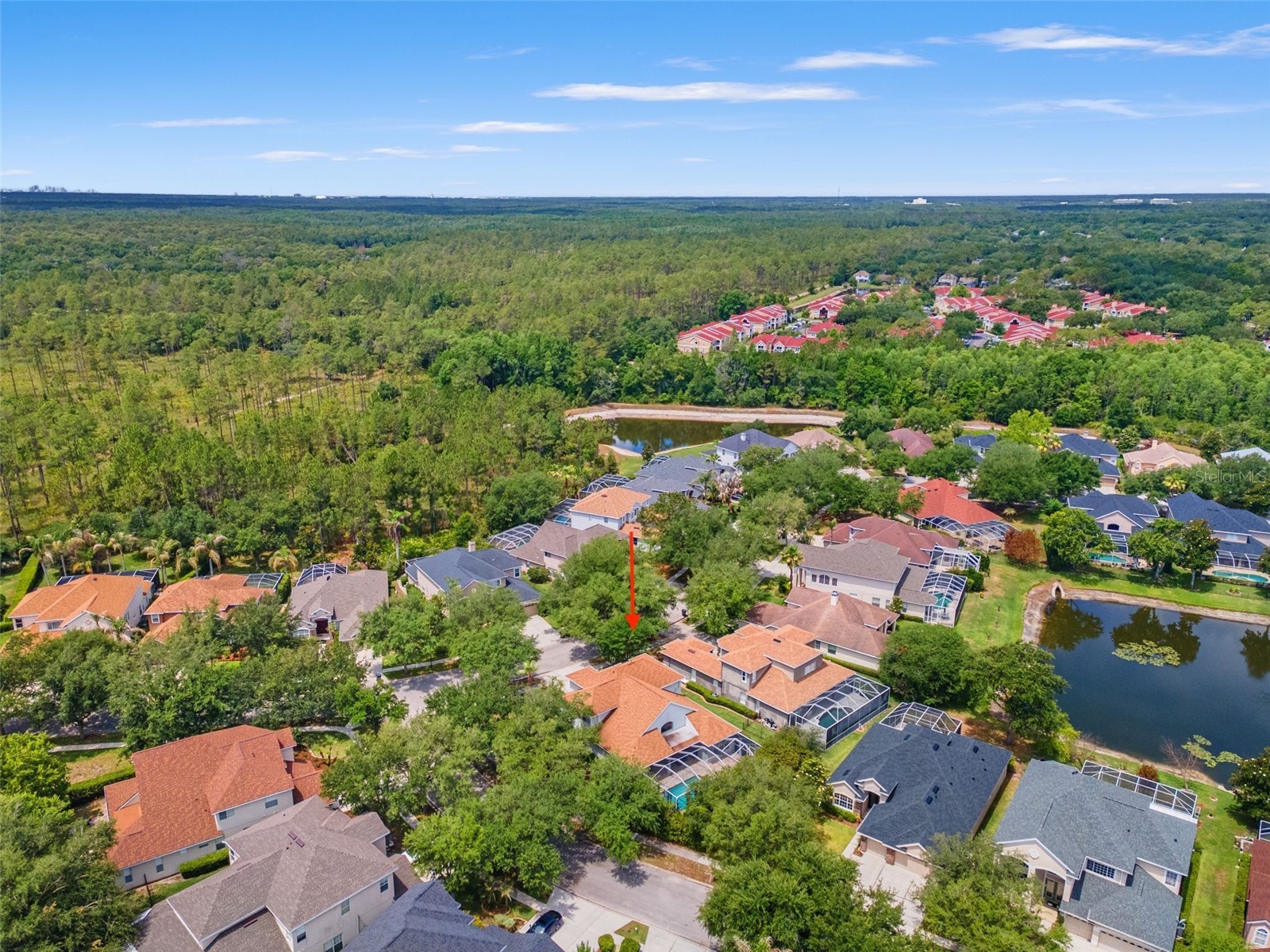 10117 Deercliff Drive Tampa FL 33647 TB8511374 image55