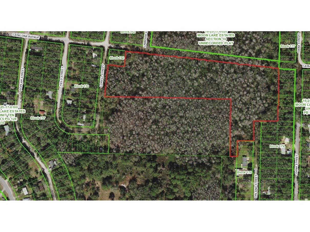 10117 Orland Street New Port Richey FL 34654 W7853517 image1