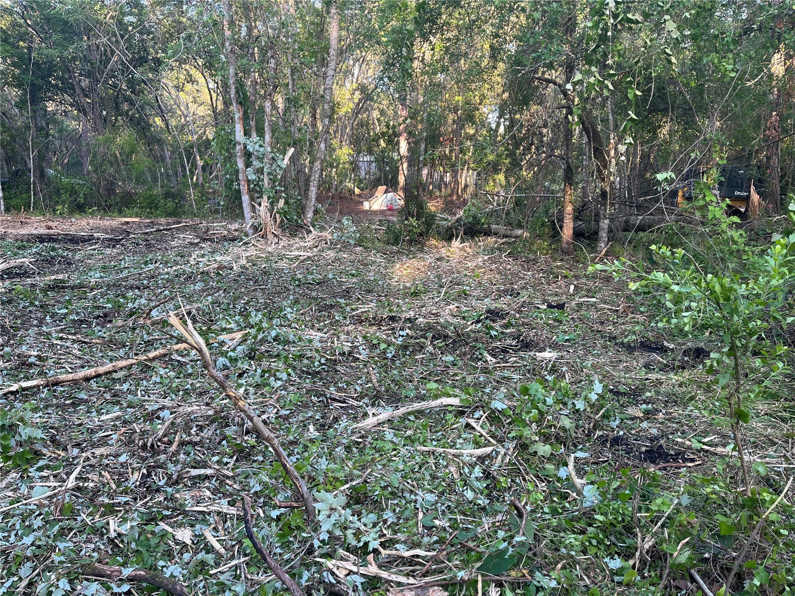 10117 Orland Street New Port Richey FL 34654 TB8470631 image5