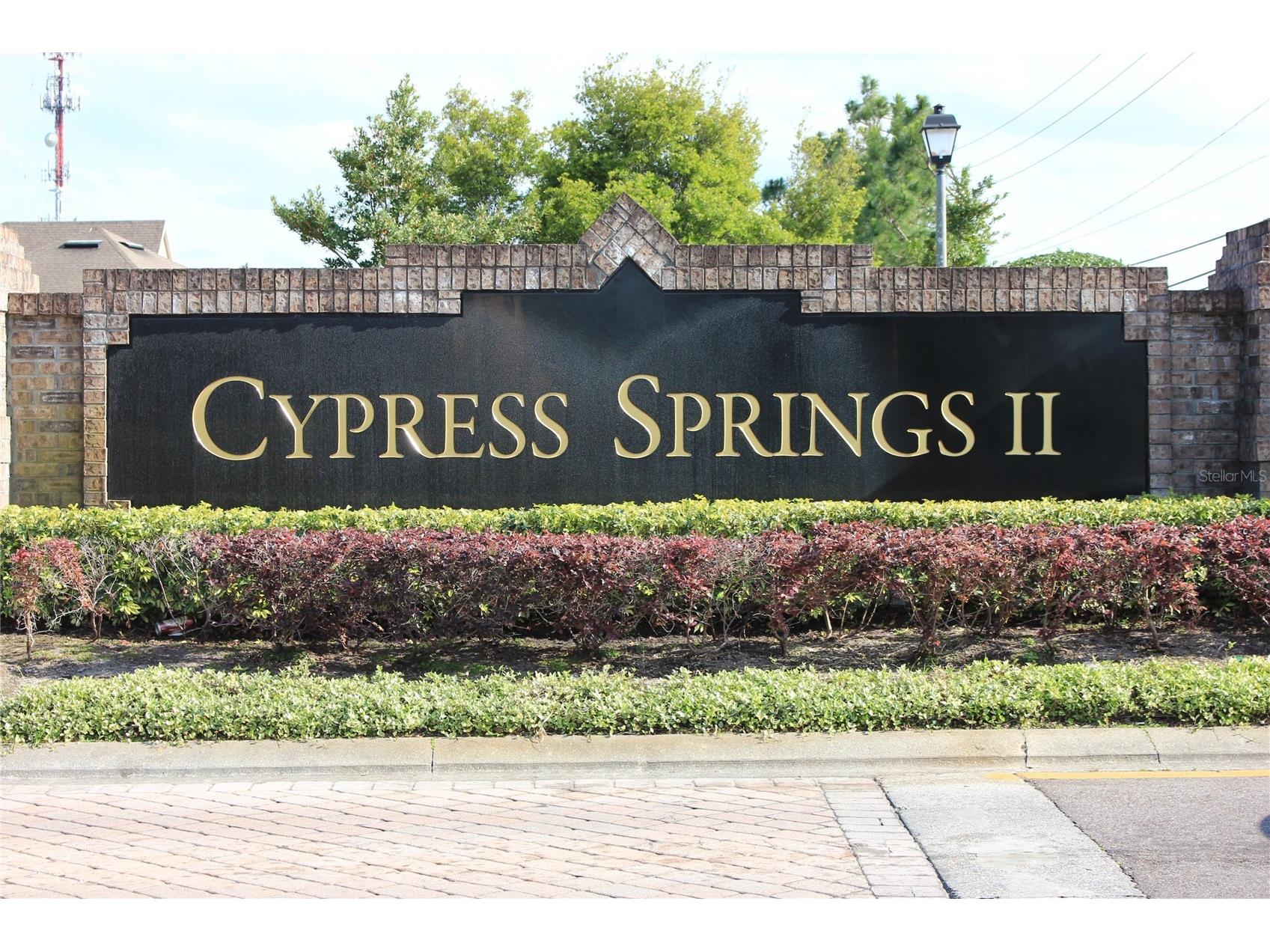 10117 S Shadow Leaf Court Orlando FL 32825 S5141790 image2