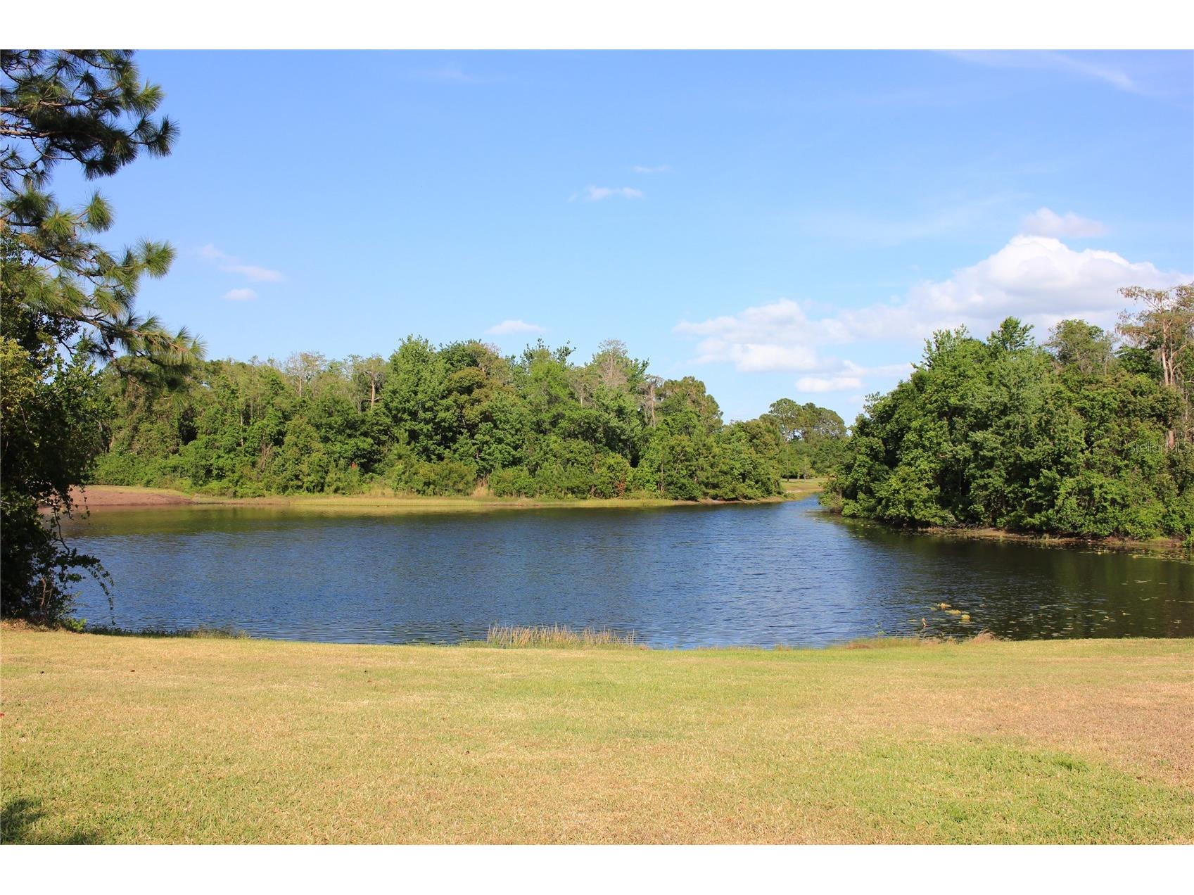 10117 S Shadow Leaf Court Orlando FL 32825 S5141790 image20