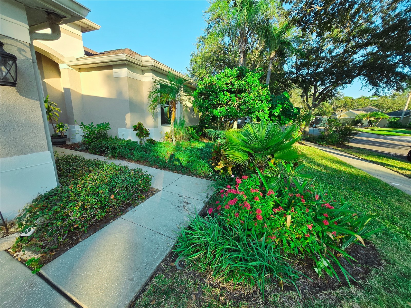 10118 Cannon Drive Riverview FL 33578 TB8451908 image21