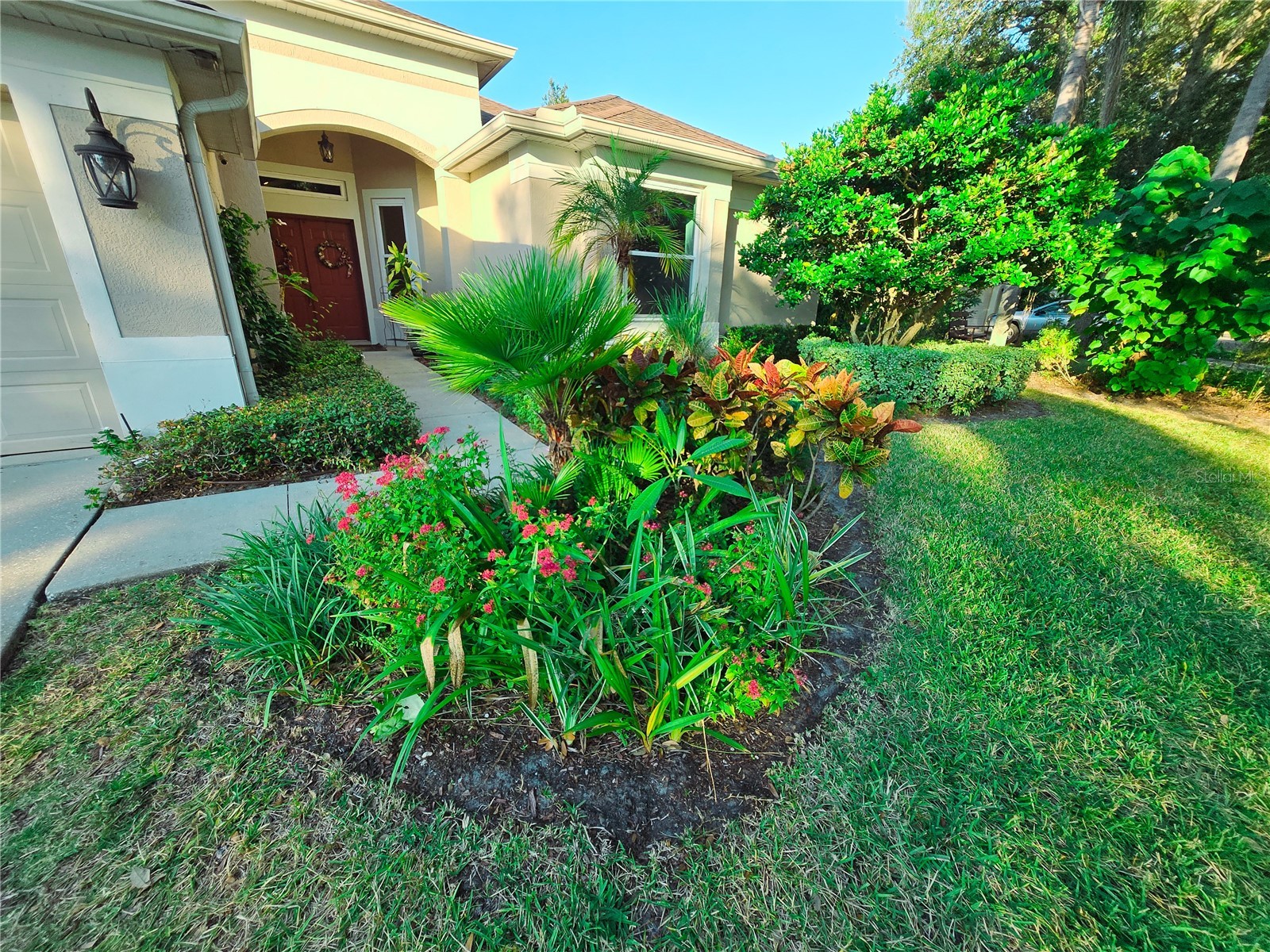 10118 Cannon Drive Riverview FL 33578 TB8451908 image22