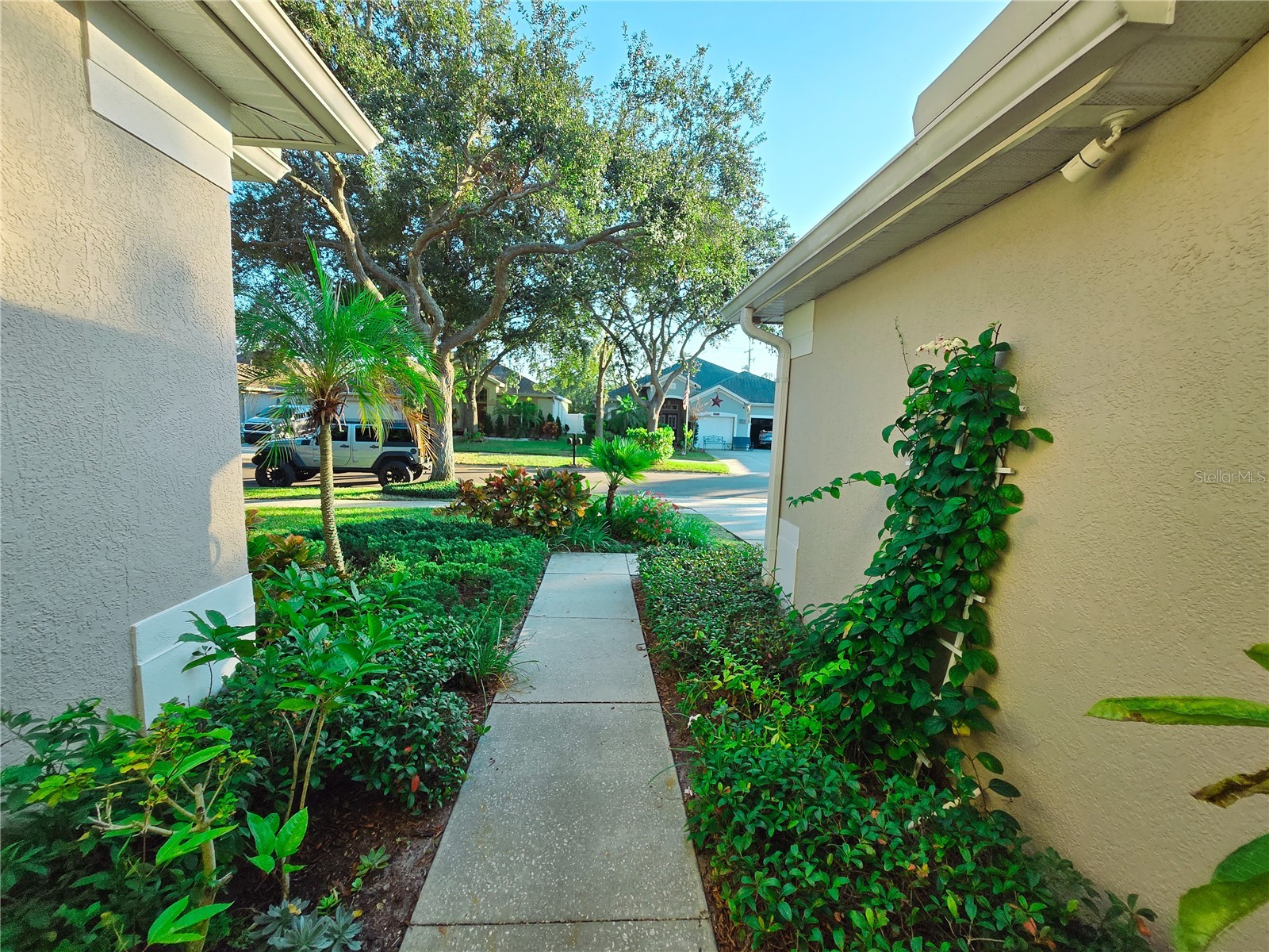 10118 Cannon Drive Riverview FL 33578 TB8451908 image25