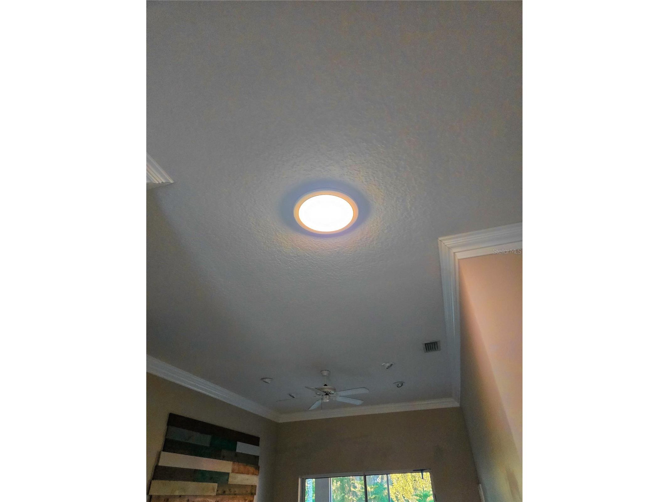 10118 Cannon Drive Riverview FL 33578 TB8451908 image35