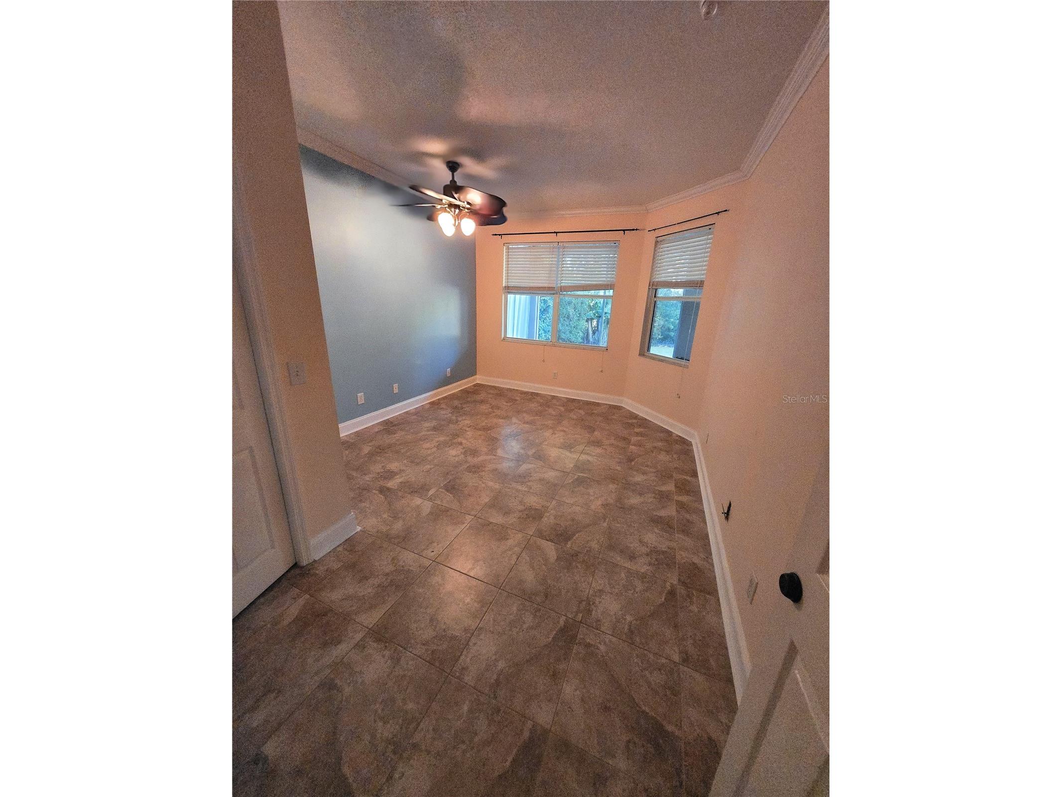 10118 Cannon Drive Riverview FL 33578 TB8451908 image45