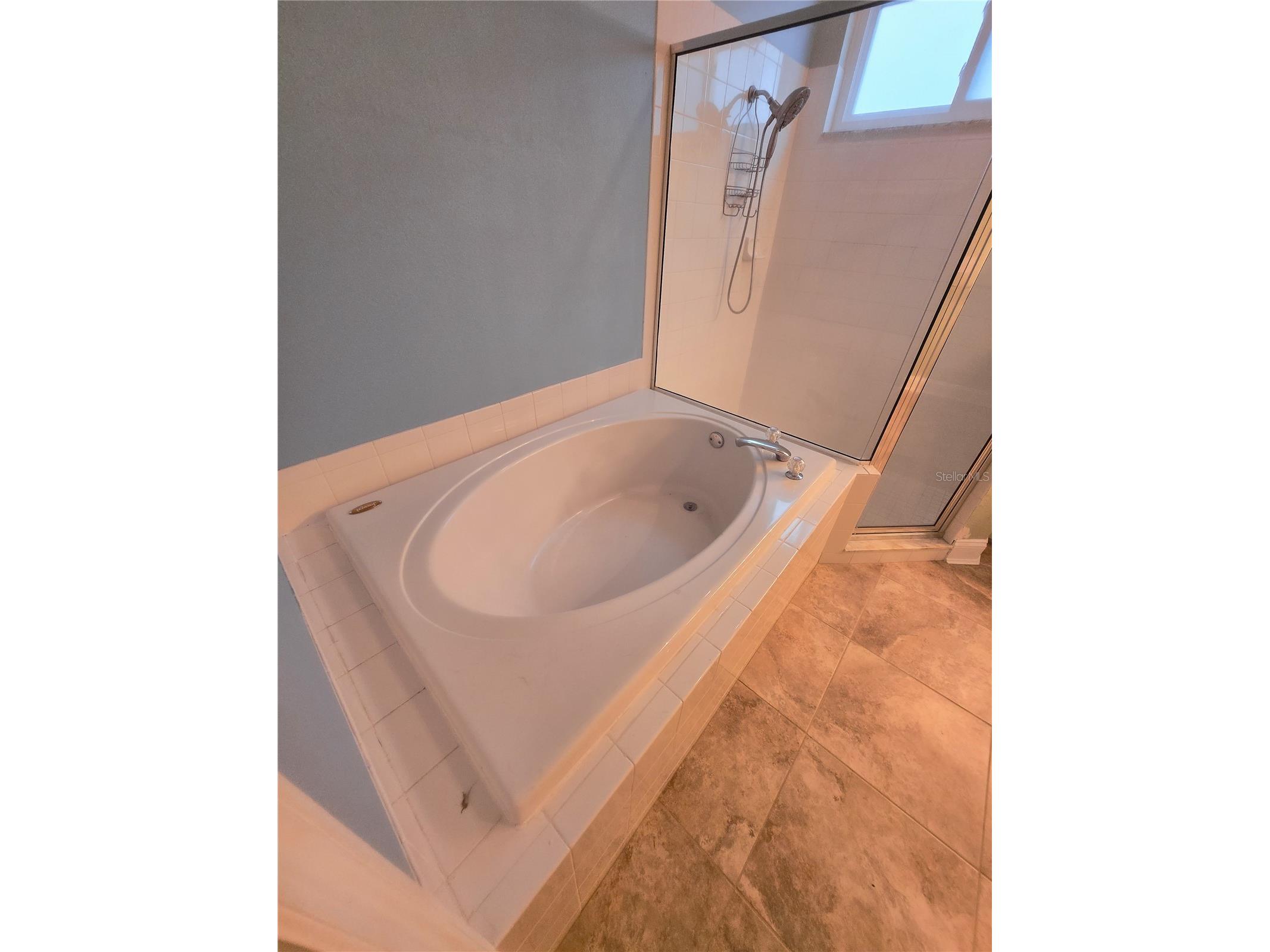 10118 Cannon Drive Riverview FL 33578 TB8451908 image48